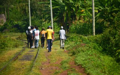 Eco-Therapy Hike and Nature Walk with Jijenge @ Korando